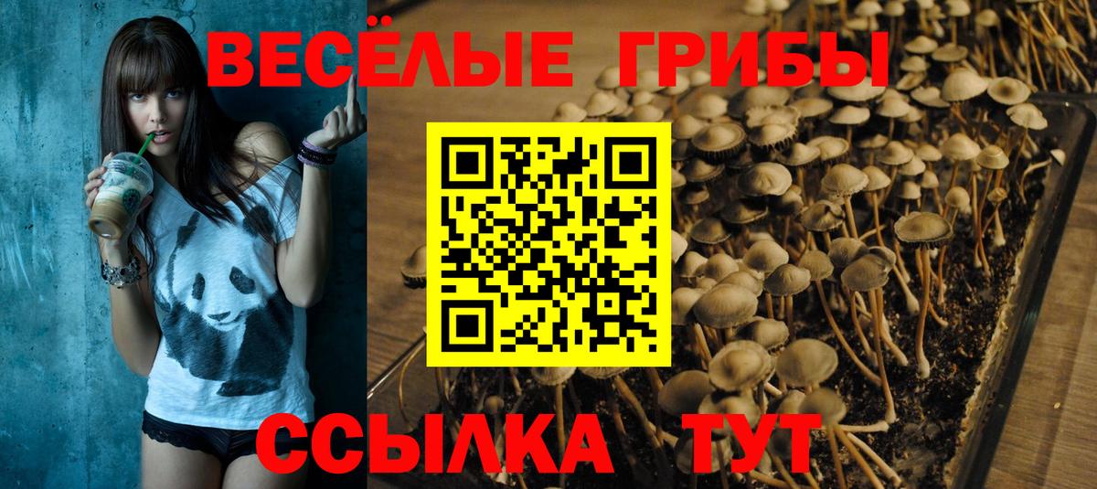 Псилоцибиновые грибы Psilocybine cubensis  Вход с VPN  Амурск 