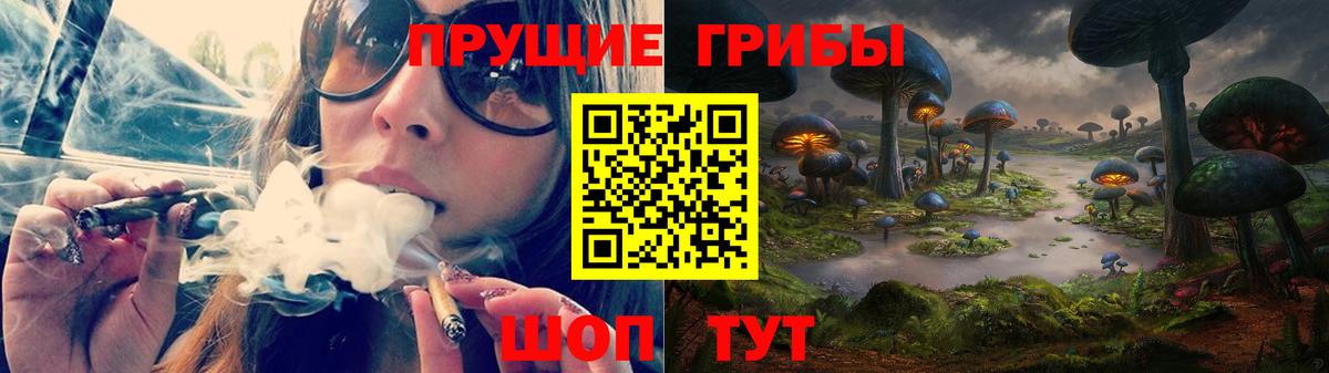 Псилоцибиновые грибы ЛСД Амурск
